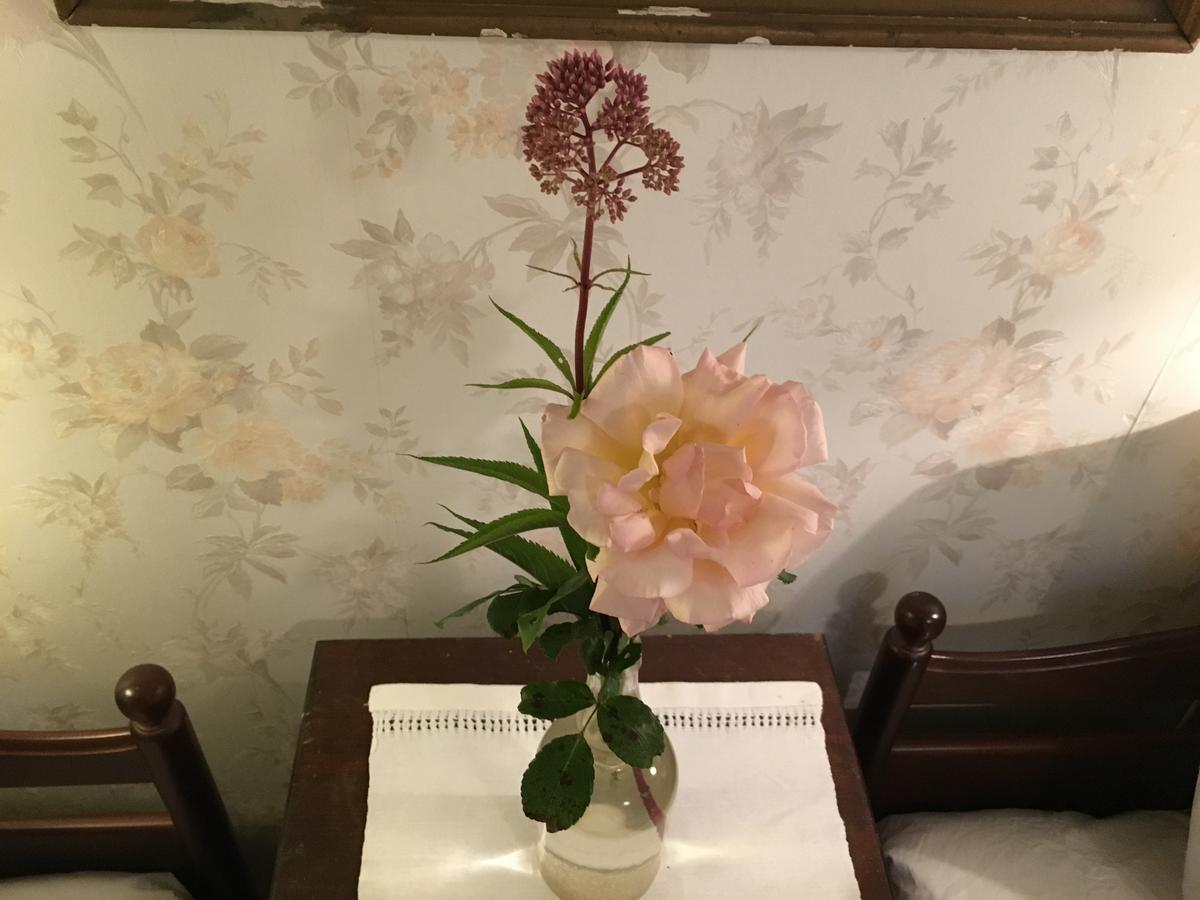 Berte Bed&Breakfast Sloinge Экстерьер фото